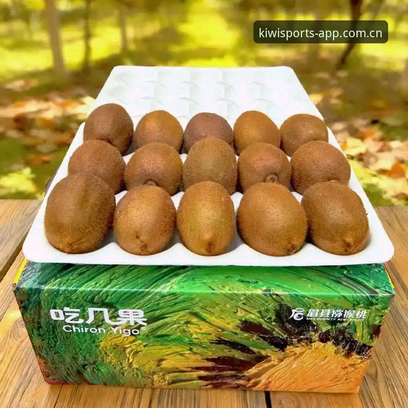 奇异果体育直接安装最新版完整指南——从下载到上手的老用户心得