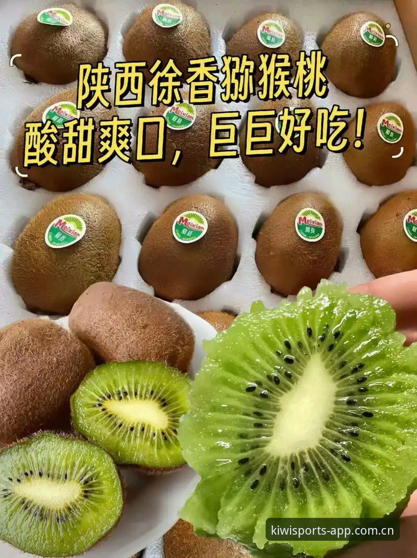 奇异果体育手机版 新手必看!奇异果体育手机版使用心得:从下载到流畅运行的完整经验分享